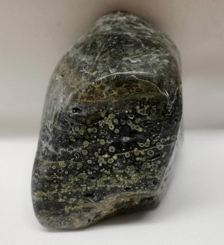 Ocean Jaspis orbicular